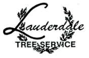 Lauderdale Tree Service - Over 40 years of tree service, tree care,tree trimming and consulting arborist